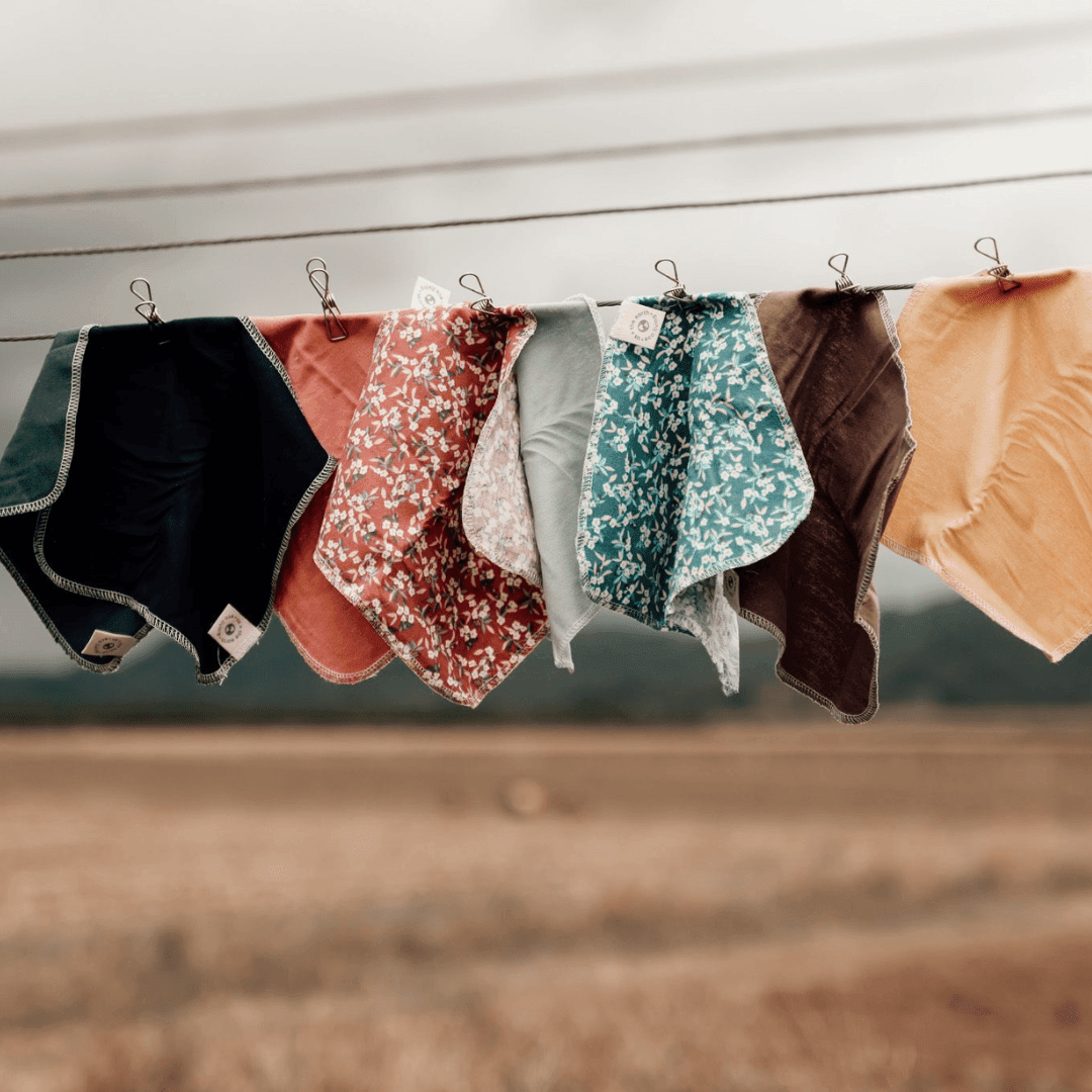 Kitchen & Food Storage